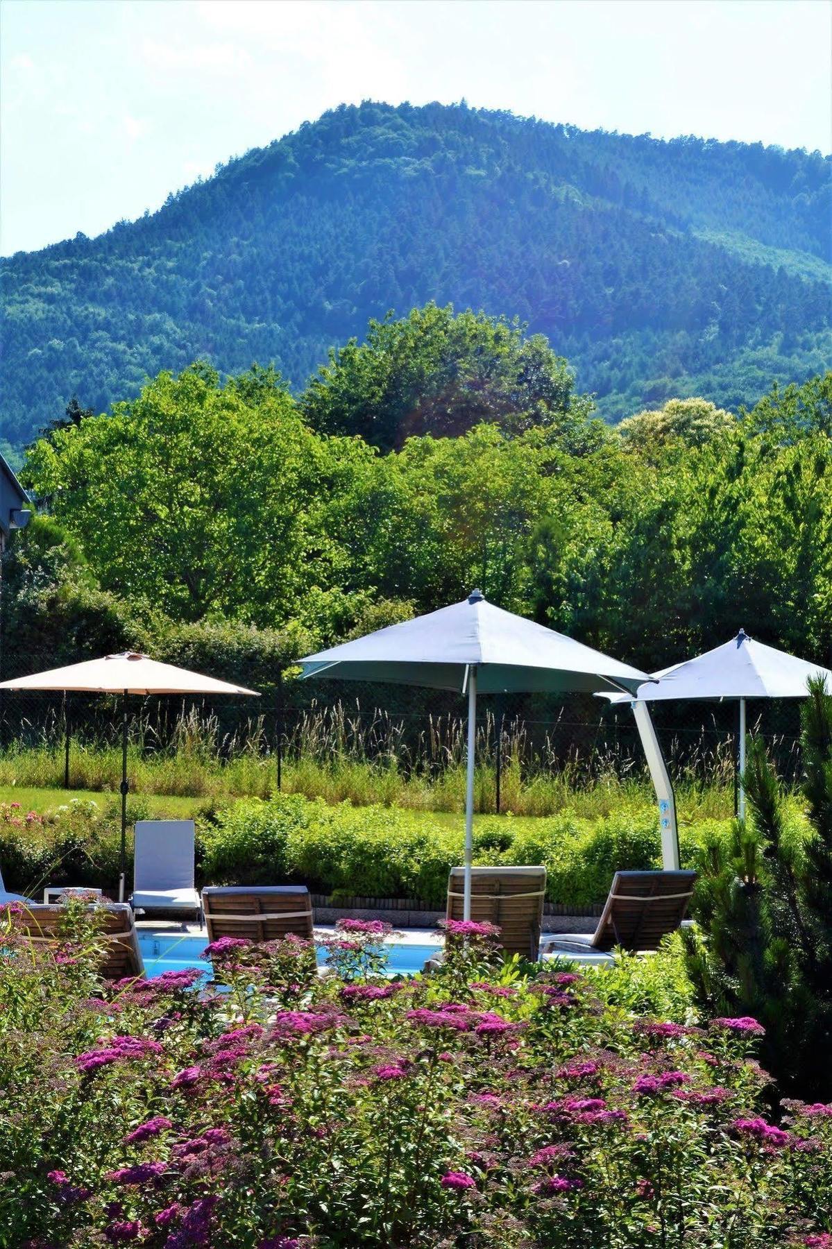 Aux Chants Des Oiseaux Hotel Ottrott Bagian luar foto