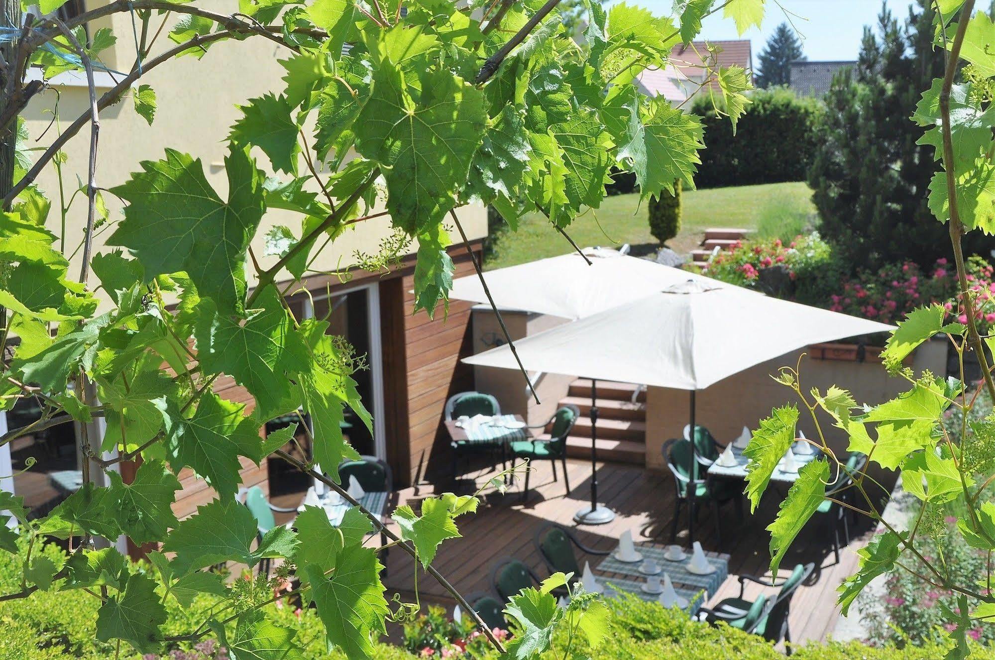 Aux Chants Des Oiseaux Hotel Ottrott Bagian luar foto